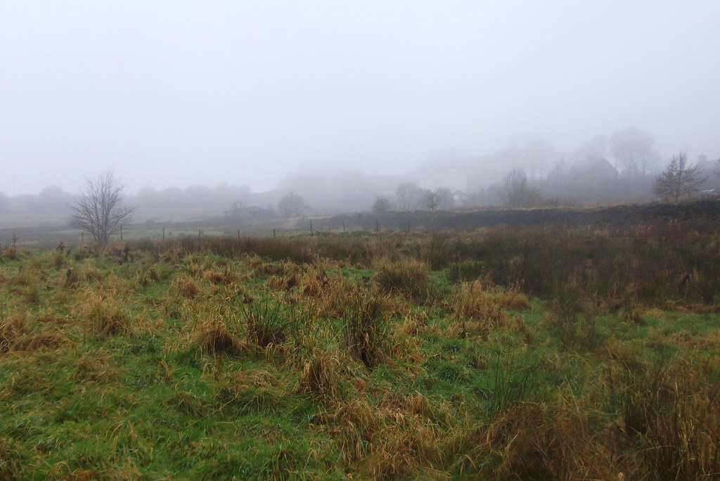 Navigating Gillingham’s Weather with BBC Weather